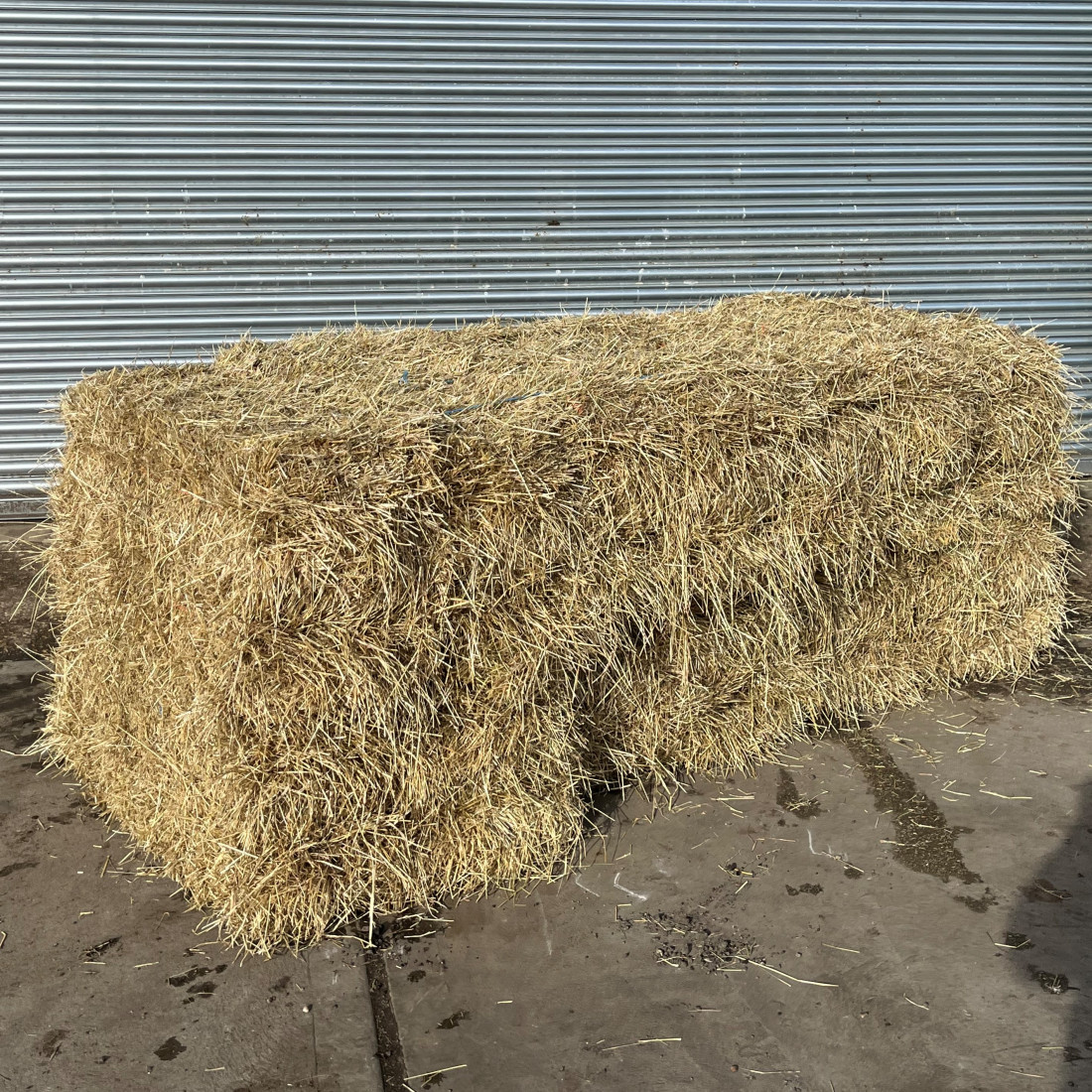Conventional bale ryegrass hay 14 bale pack